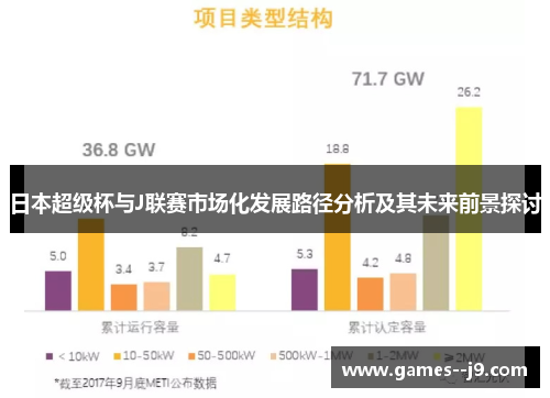 日本超级杯与J联赛市场化发展路径分析及其未来前景探讨